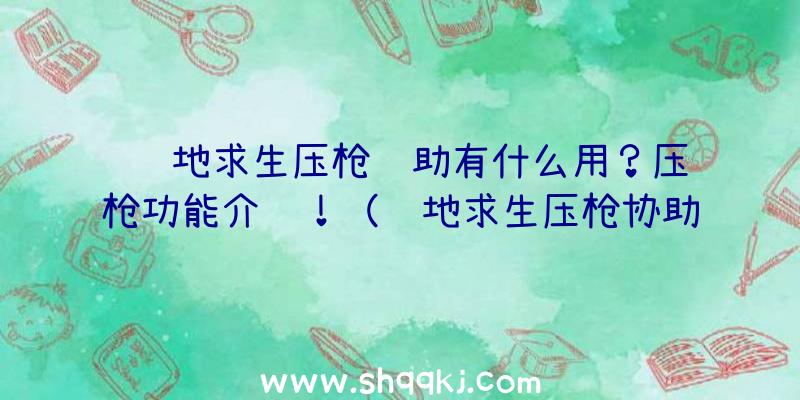 绝地求生压枪辅助有什么用？压枪功能介绍！（绝地求生压枪协助十分稳,没有设置右边的操作过程）